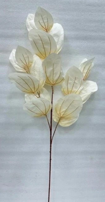 Eucliptus Leaves Stick